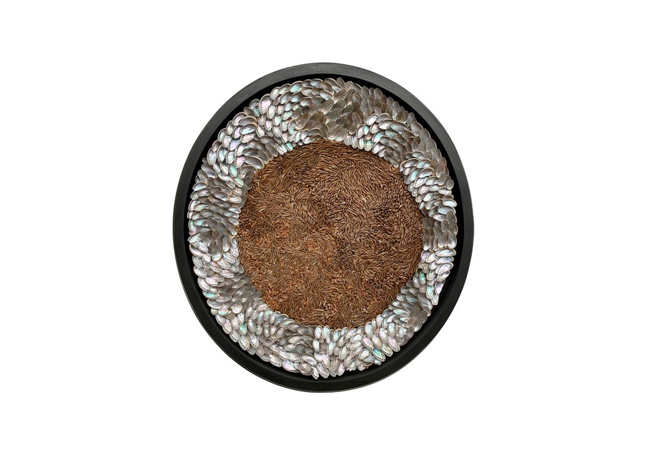 Land and Sea – concave